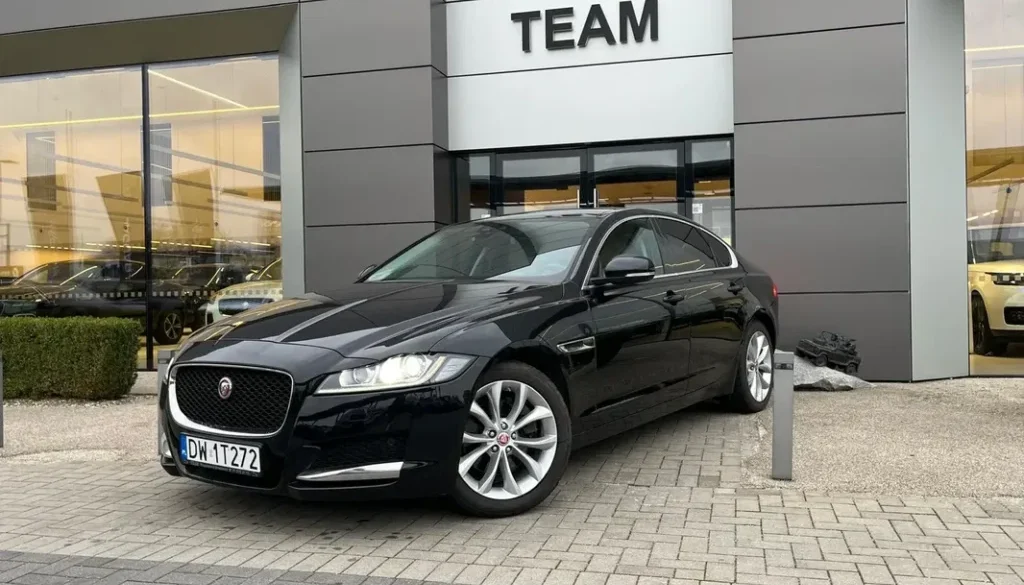 thumb-e84e8aeb30dfb7c5cceeeff70c27a863